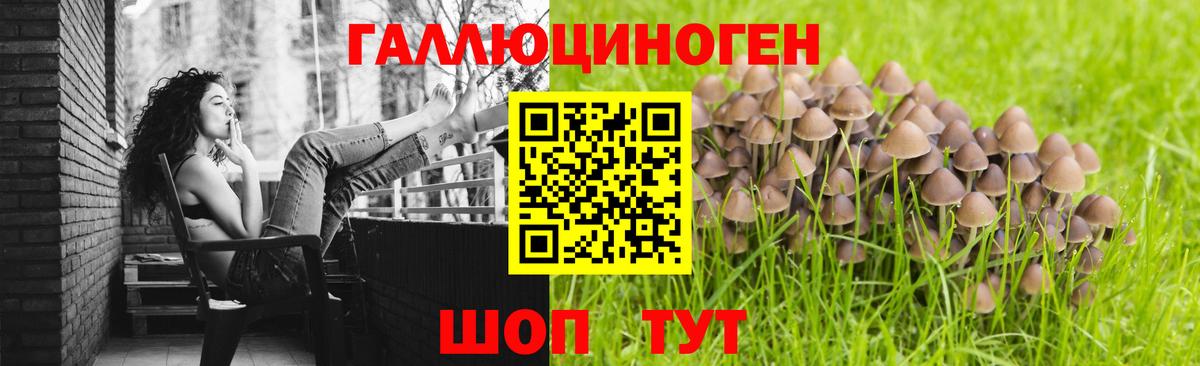 Галлюциногенные грибы Magic Shrooms  Вход с VPN  Галлюциногенные грибы Psilocybine cubensis  Белогорск 